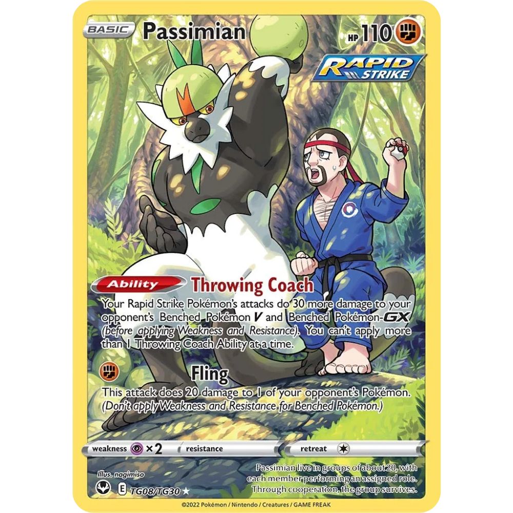 Passimian – TG08/TG30 – Silver Tempest