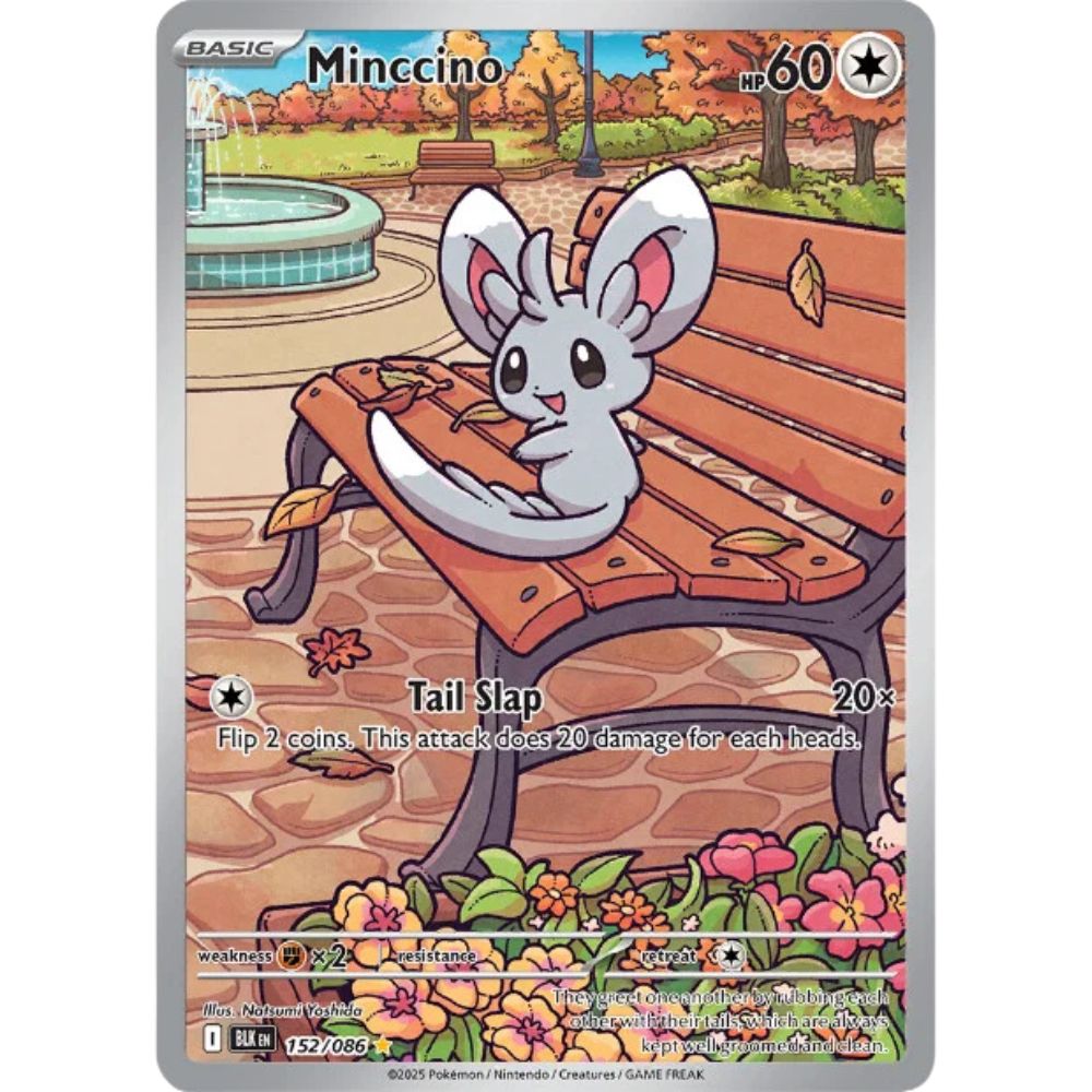 Minccino  –  152/086  –  Black Bolt