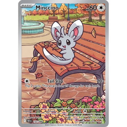 Minccino  –  152/086  –  Black Bolt